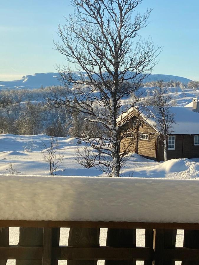 Storemyr By Norgesbooking - Cabin With Amazing View Myro Luaran gambar